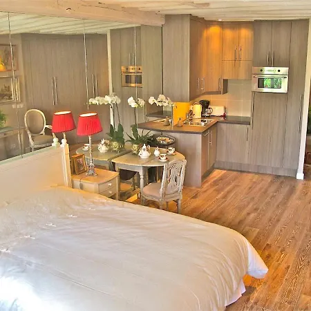 A Duplex In The Sky Apartment Paris